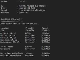一键检测Linux VPS配置信息、下载速度和IO读写的脚本